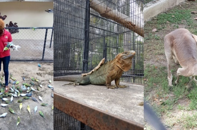 Hope Zoo treats 300 children in state care