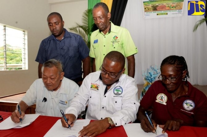 Farmers urged to plant more red peas to cut US$8 million import bill