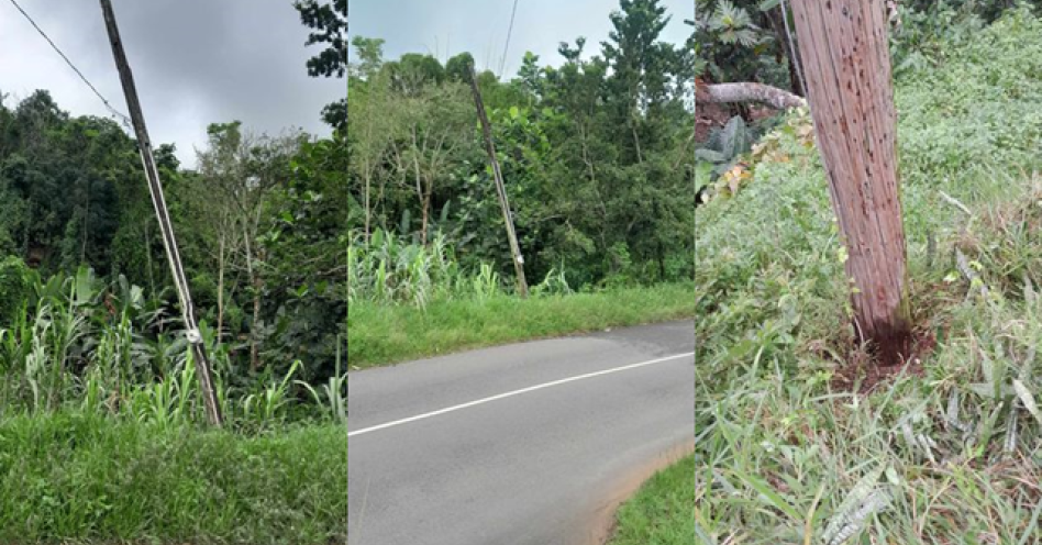 Donnarine Cargill shares images of the JPS pole outside her yard in Bartons, northern Old Harbour.