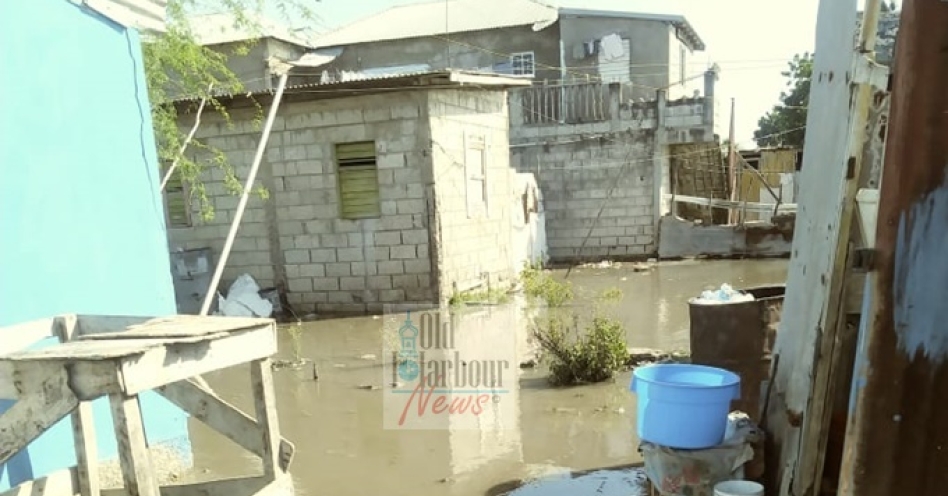 Rising tide flooded a few dwellings along the Old Harbour Bay shoreline over the weekend.